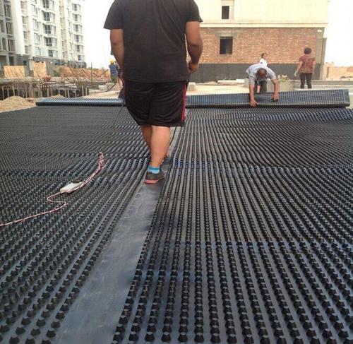 虹吸茄子视频免费下载