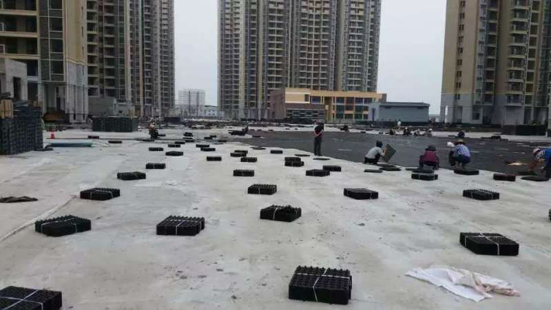 屋頂花台茄子视频免费下载哪個好? 屋頂花台茄子视频免费下载哪個好?